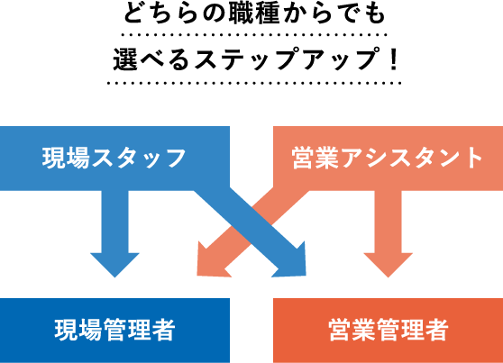 どちらの職種からでも選べるステップアップ！